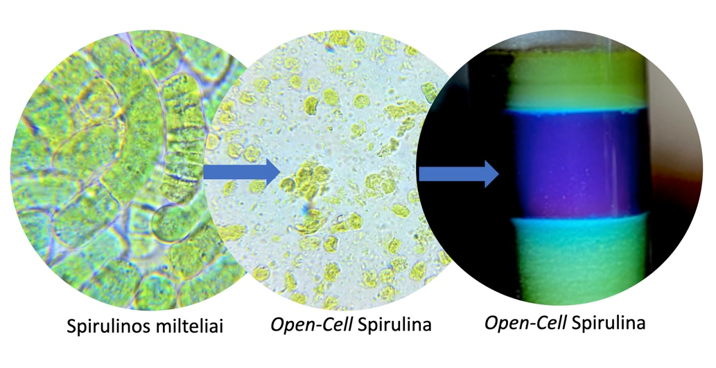 Open-Cell technologija